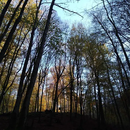 Au Bois D'ourthe Somme-Leuze