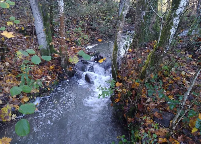 Au Bois D'ourthe Chalet *