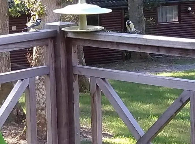 Au Bois D'ourthe Somme-Leuze